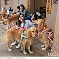 獵犬不打獵鄉林小食光-10.jpg