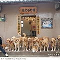 獵犬不打獵鄉林小食光-46.jpg