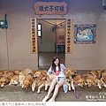 獵犬不打獵鄉林小食光-49.jpg