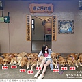 獵犬不打獵鄉林小食光-50.jpg