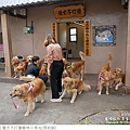 獵犬不打獵鄉林小食光-52.jpg