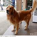 獵犬不打獵鄉林小食光-55.jpg