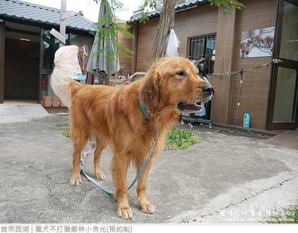 獵犬不打獵鄉林小食光-58.jpg