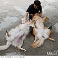 獵犬不打獵鄉林小食光-60.jpg