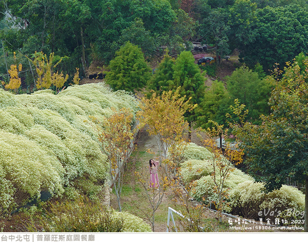 普羅旺斯庭園餐廳-48.jpg