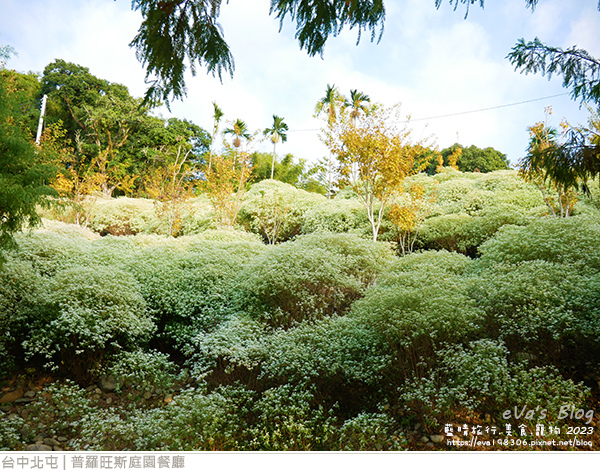 普羅旺斯庭園餐廳-64.jpg