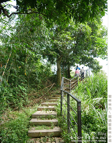 龍過脈森林步道-22.jpg