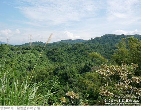 龍過脈森林步道-30.jpg