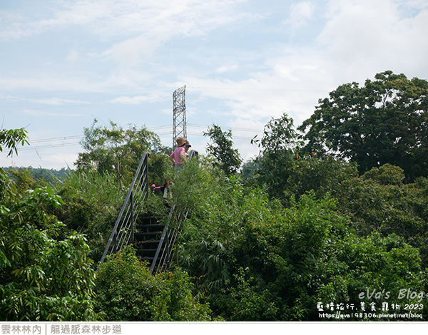 龍過脈森林步道-25.jpg