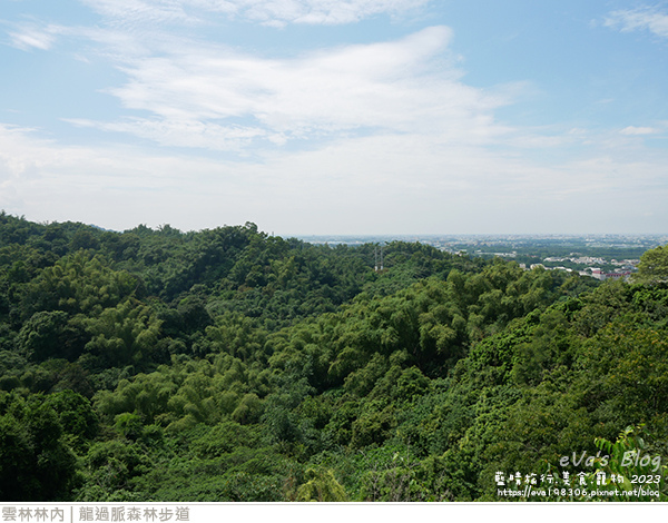 龍過脈森林步道-29.jpg