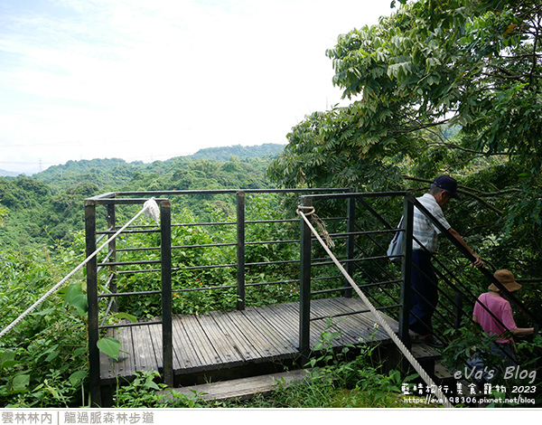 龍過脈森林步道-35.jpg