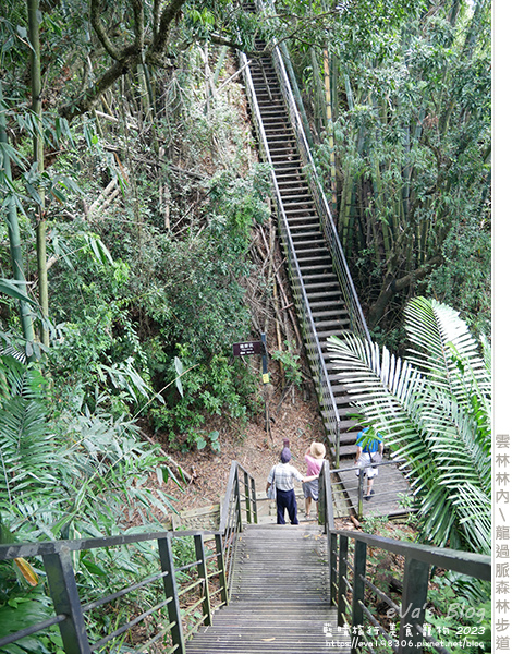 龍過脈森林步道-40.jpg