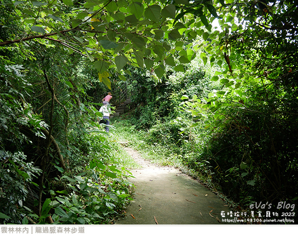 龍過脈森林步道-40.jpg