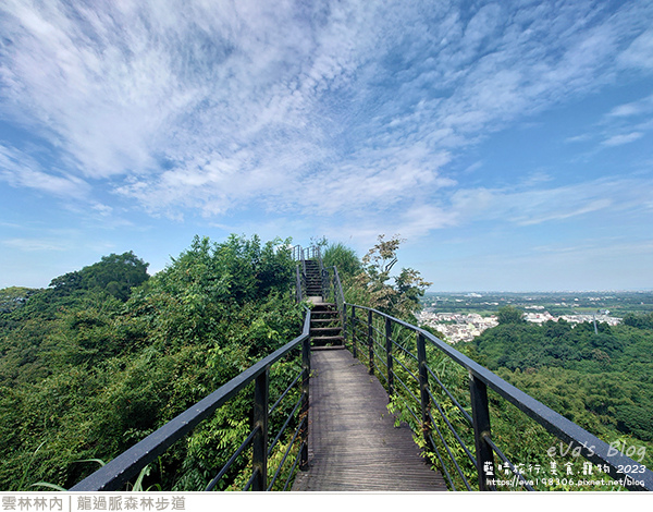 龍過脈森林步道-27.jpg