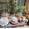 千樺花園餐廳-33.jpg