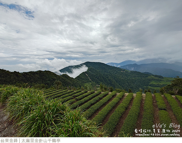 太麻里金針山千鶴亭-04.jpg