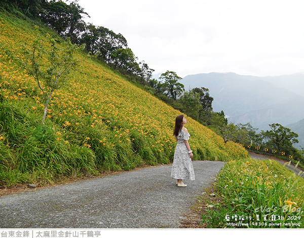 太麻里金針山千鶴亭-14.jpg