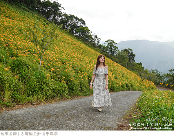 太麻里金針山千鶴亭-26.jpg