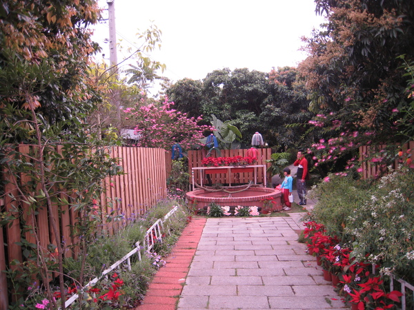 IMG_4184.JPG