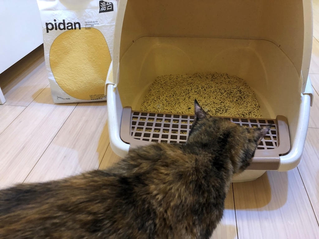 貓砂推薦 3大主流貓砂優缺點 Pidan豆腐混合砂實用心得分享 我行我素 我做我自己 Eva 痞客邦 貓砂推薦 3大主流貓砂優缺點 Pidan豆腐混合砂實用心得分享 我行我素 我做我自己 Eva 痞客邦