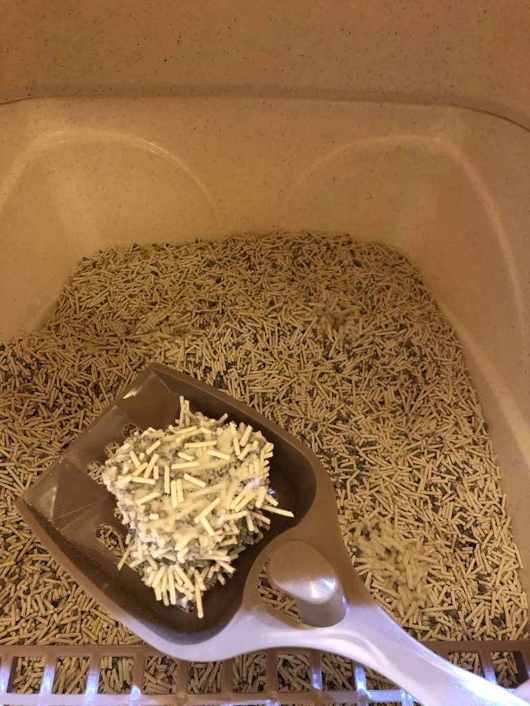 貓砂推薦 3大主流貓砂優缺點 Pidan豆腐混合砂實用心得分享 我行我素 我做我自己 Eva 痞客邦 貓砂推薦 3大主流貓砂優缺點 Pidan豆腐混合砂實用心得分享 我行我素 我做我自己 Eva 痞客邦