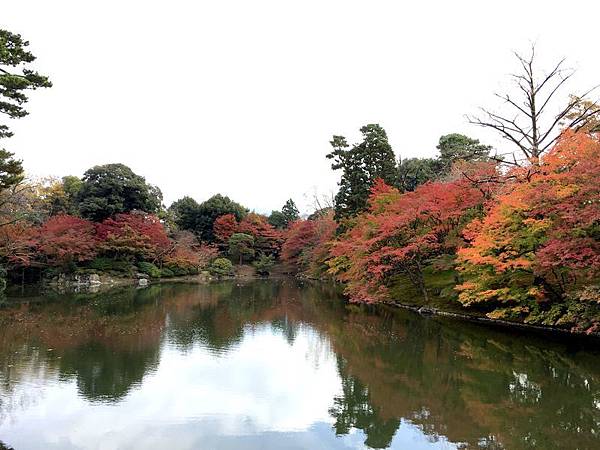 京都《仙洞御所》「往復明信片」預約方法