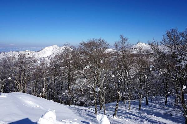 東北&關東｜艷陽天•藍白對比•冬季限定《蔵王樹氷》絕景