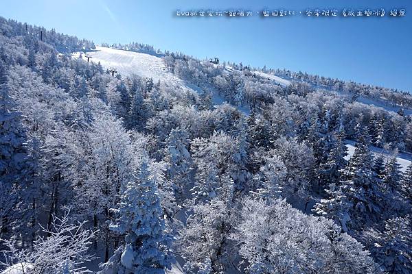 東北&關東｜艷陽天•藍白對比•冬季限定《蔵王樹氷》絕景