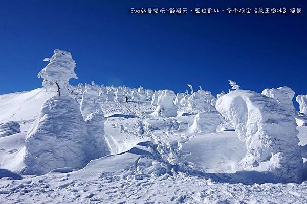 東北&關東｜艷陽天•藍白對比•冬季限定《蔵王樹氷》絕景