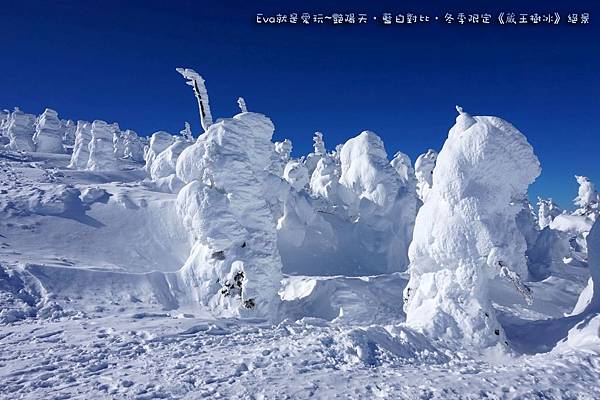 東北&關東｜艷陽天•藍白對比•冬季限定《蔵王樹氷》絕景