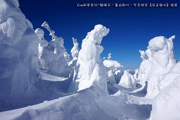 東北&關東｜艷陽天•藍白對比•冬季限定《蔵王樹氷》絕景