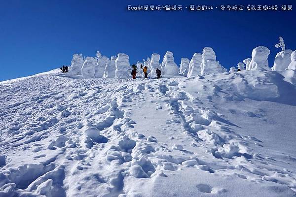 東北&關東｜艷陽天•藍白對比•冬季限定《蔵王樹氷》絕景