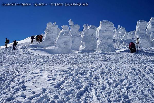 東北&關東｜艷陽天•藍白對比•冬季限定《蔵王樹氷》絕景