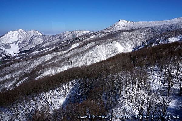 東北&關東｜艷陽天•藍白對比•冬季限定《蔵王樹氷》絕景