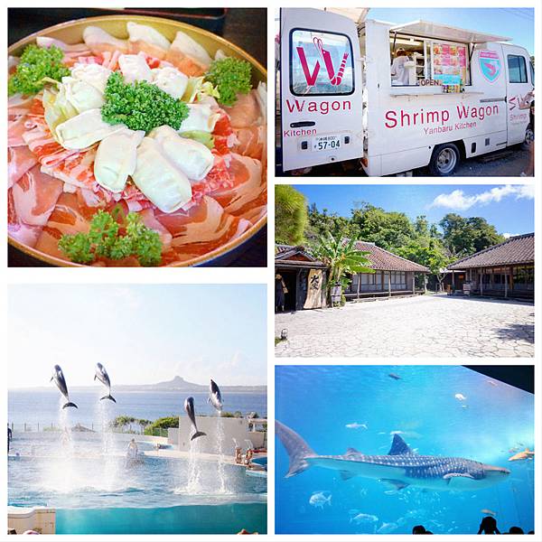 2017 沖繩。石垣牛。阿古豬。那霸大綱挽祭。神秘Ganga