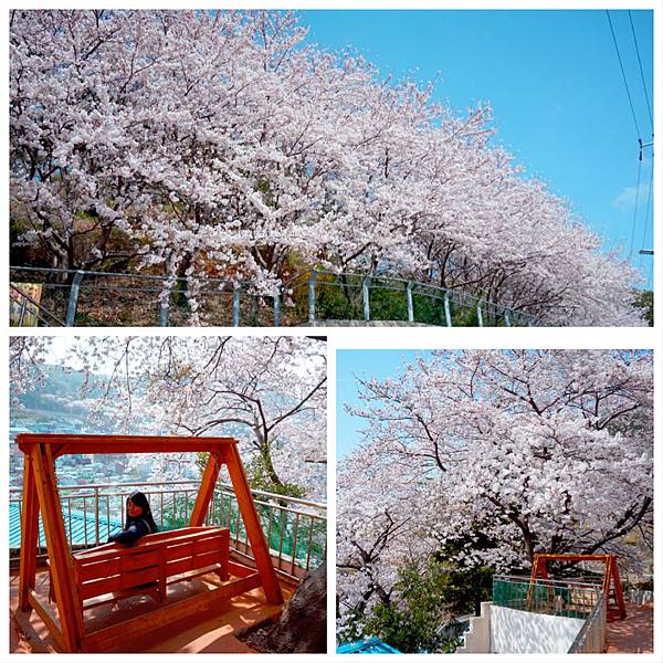 釜山‧鎮海‧首爾~賞櫻‧秘苑‧韓屋‧古宮夜遊‧韓牛‧御膳 1 釜山‧鎮海‧首爾~賞櫻‧秘苑‧韓屋‧古宮夜遊‧韓牛‧御膳 1