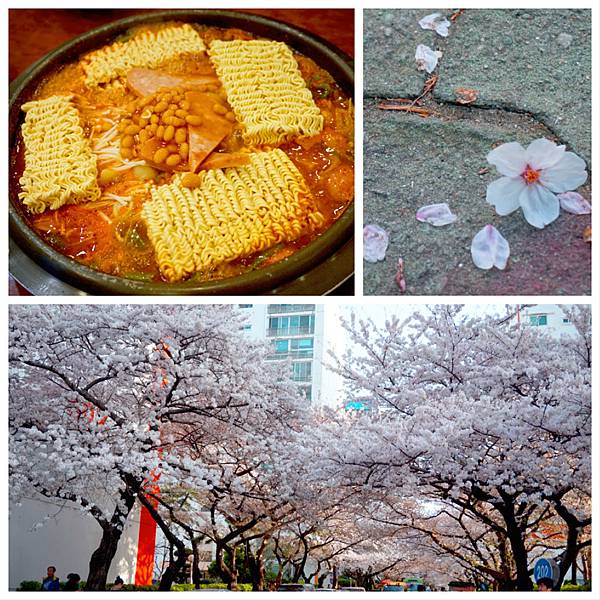 釜山‧鎮海‧首爾~賞櫻‧秘苑‧韓屋‧古宮夜遊‧韓牛‧御膳 1 釜山‧鎮海‧首爾~賞櫻‧秘苑‧韓屋‧古宮夜遊‧韓牛‧御膳 1