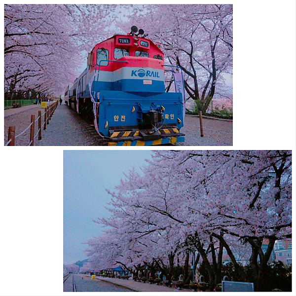 釜山‧鎮海‧首爾~賞櫻‧秘苑‧韓屋‧古宮夜遊‧韓牛‧御膳 1 釜山‧鎮海‧首爾~賞櫻‧秘苑‧韓屋‧古宮夜遊‧韓牛‧御膳 1