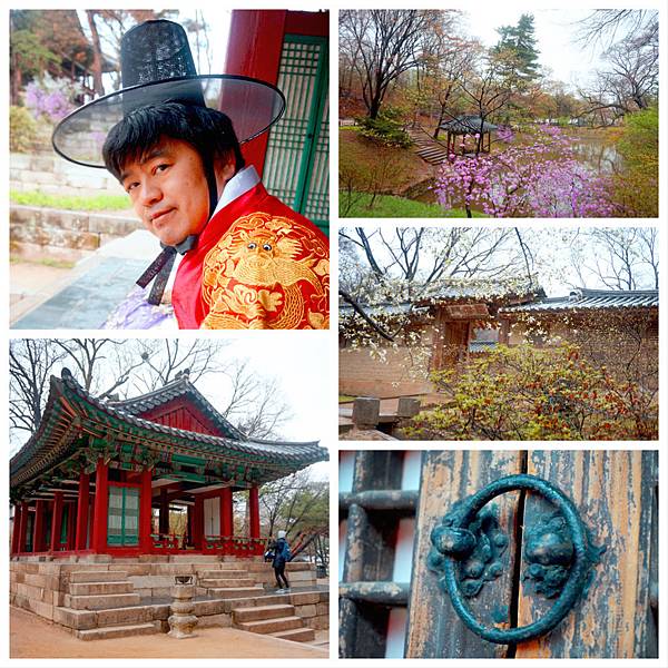 釜山‧鎮海‧首爾~賞櫻‧秘苑‧韓屋‧古宮夜遊‧韓牛‧御膳 1 釜山‧鎮海‧首爾~賞櫻‧秘苑‧韓屋‧古宮夜遊‧韓牛‧御膳 1