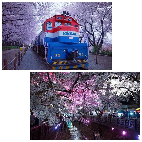 釜山‧鎮海‧首爾~賞櫻‧秘苑‧韓屋‧古宮夜遊‧韓牛‧御膳 1 釜山‧鎮海‧首爾~賞櫻‧秘苑‧韓屋‧古宮夜遊‧韓牛‧御膳 1