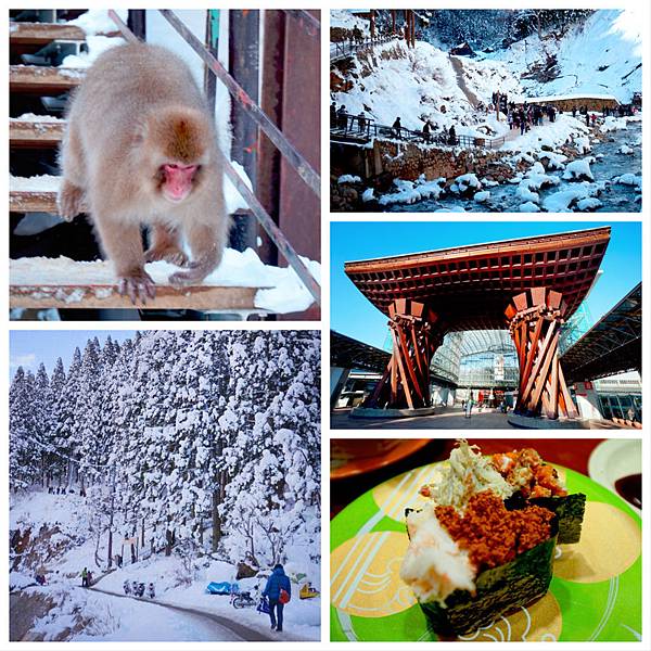 日本關西‧北陸‧關東跨年~合掌村。飛驒牛。伊根舟屋。雪猴泡湯