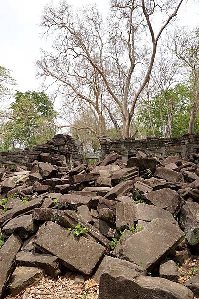 吳哥窟11日︱叢林中沉睡800年的《班提奇馬寺 Bantea