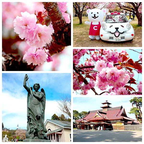 2016 北海道(二訪) 小樽．函館．札幌．賞櫻 5日 《行