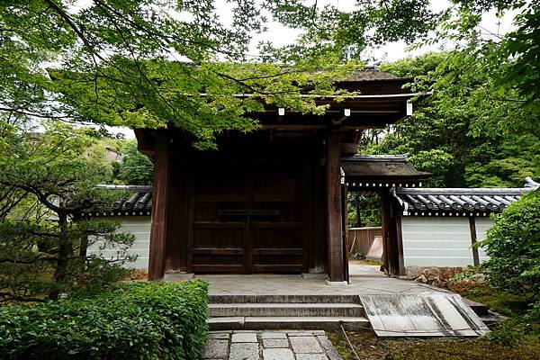 京都新綠︱初夏。二訪世界遺產《西芳寺（苔寺）》（含申請方式）