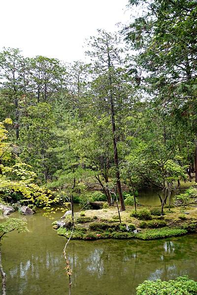 京都新綠︱初夏。二訪世界遺產《西芳寺（苔寺）》（含申請方式）