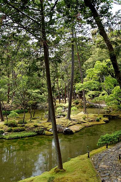 京都新綠︱初夏。二訪世界遺產《西芳寺（苔寺）》（含申請方式）