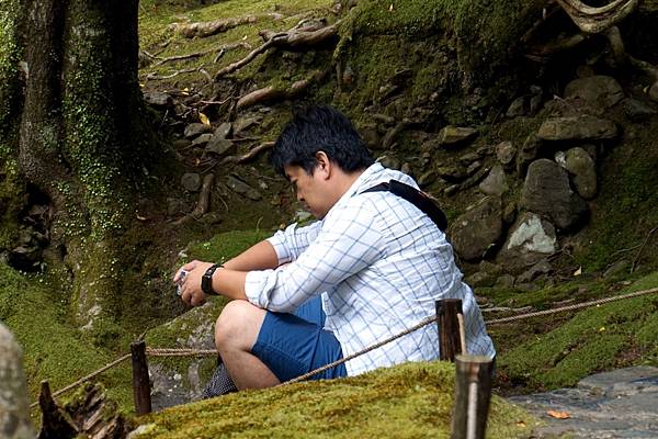 京都新綠︱初夏。二訪世界遺產《西芳寺（苔寺）》（含申請方式）