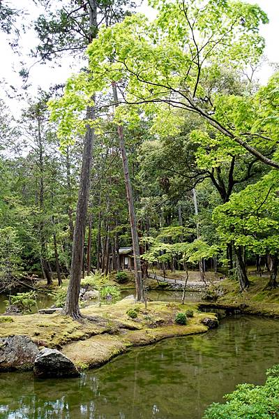 京都新綠︱初夏。二訪世界遺產《西芳寺（苔寺）》（含申請方式）