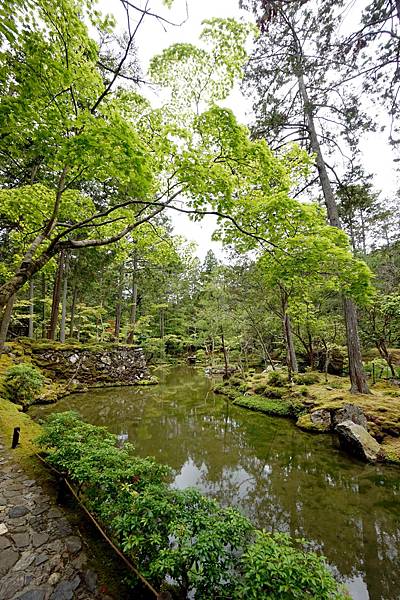 京都新綠︱初夏。二訪世界遺產《西芳寺（苔寺）》（含申請方式）