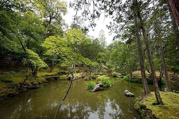 京都新綠︱初夏。二訪世界遺產《西芳寺（苔寺）》（含申請方式）
